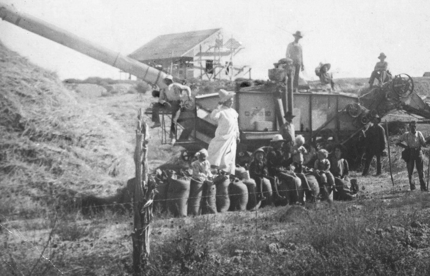Vintage black and white photograph of a large agricultural machine with workers around it.