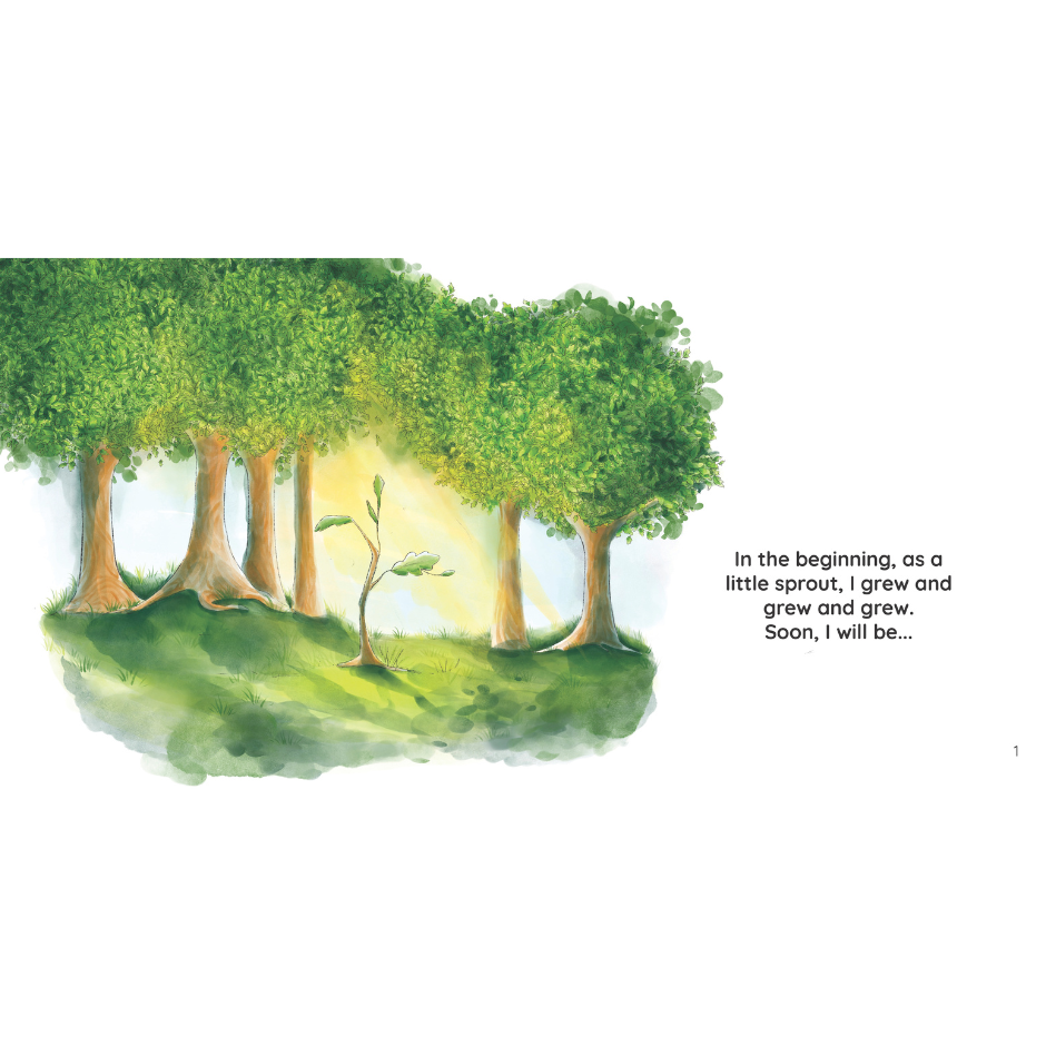 Grove of trees with sapling in the middle