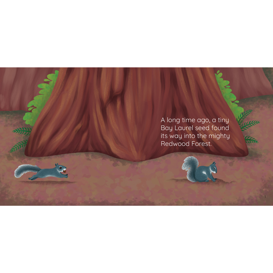 Redwood trees and a squirrel burying a nut