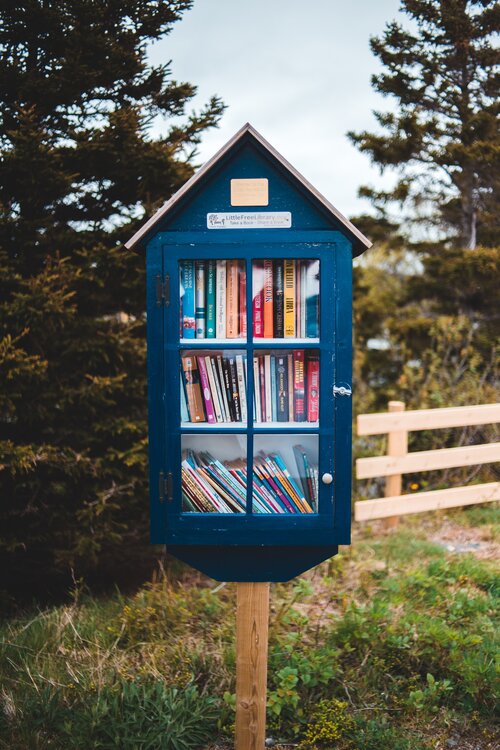 Blue bookshelf in the shape of a house with books displayed outdoors.