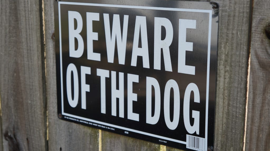 Part 20: Who Let The Dogs Out