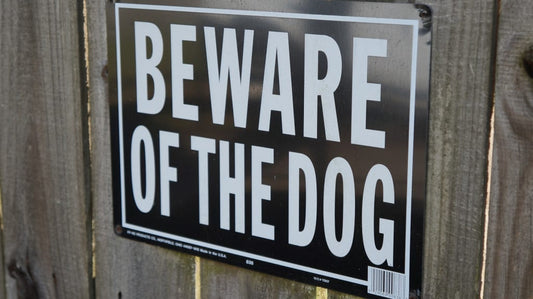 Part 20: Who Let The Dogs Out