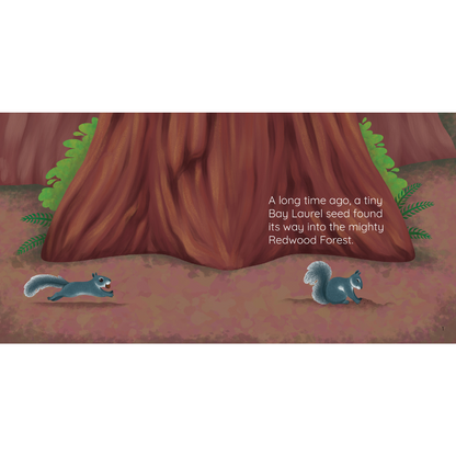 Redwood trees and a squirrel burying a nut