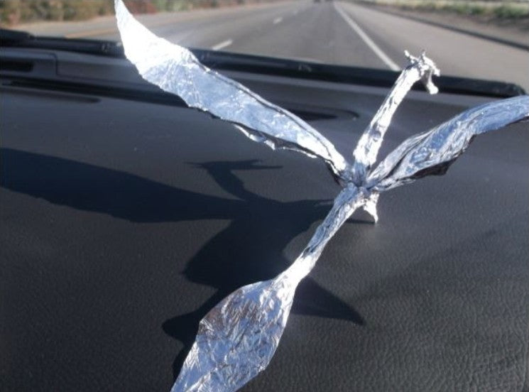 Aluminum foil shaped like a dragon on a car's black surface with a road in the background.
