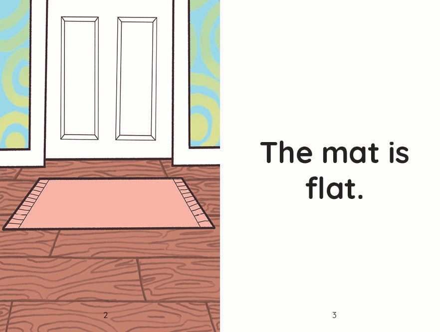The Mat and the Cat