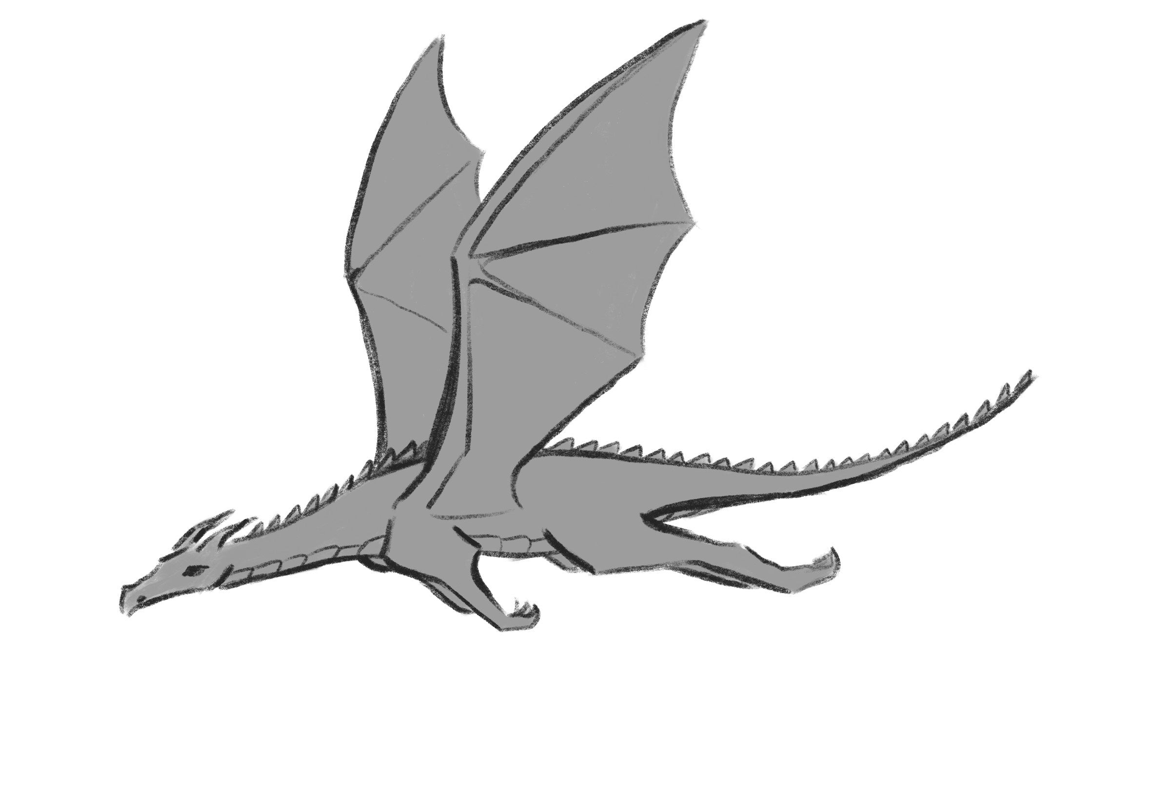 Gray dragon illustration on a white background